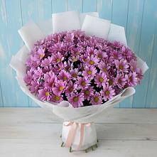 Букет цветов из:  Хризантемы #REPLACE_PRED# Нижнее Маслово