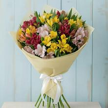 Букет цветов из:  Альстромерии в Нижнее Маслово