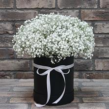 Цветочная композиция из Гипсофила в шляпной коробке в Нижнее Маслово